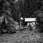 monochrome shot of a small chapel in the woods