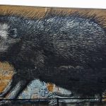 Mural: hedgehog by ROA